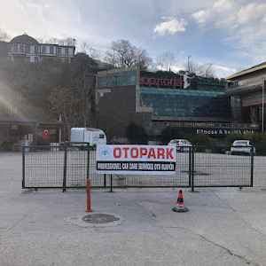 ST HANEDAN OTOPARK & OTO YIKAMA - OSMANGAZİ / BURSA